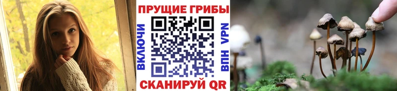 дарнет шоп  МЕГА ссылка  Псилоцибиновые грибы GOLDEN TEACHER  Полесск 